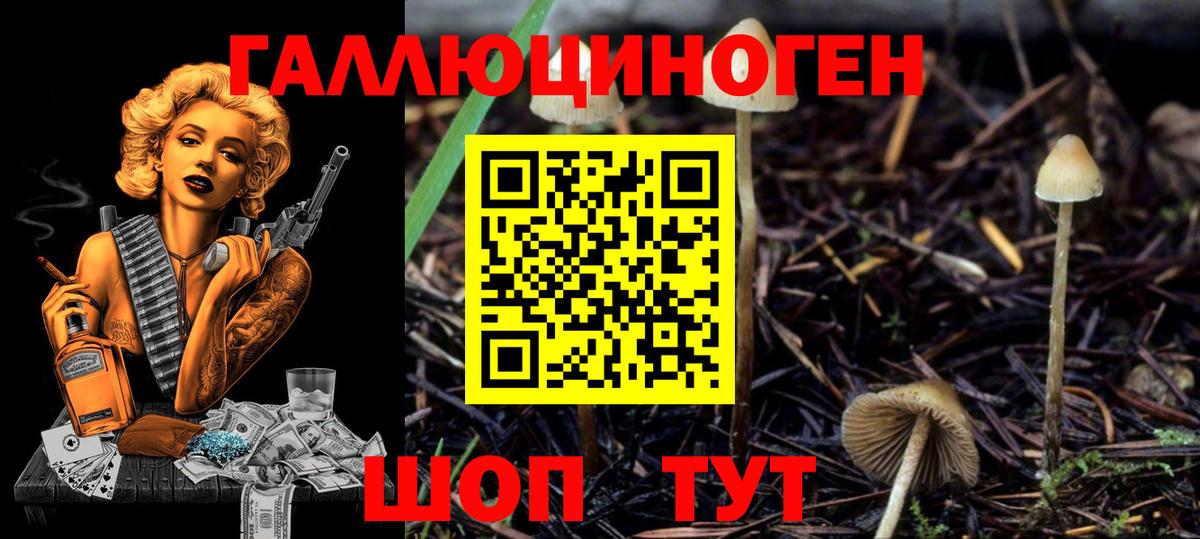 Галлюциногенные грибы ЛСД  Псилоцибиновые грибы MAGIC MUSHROOMS  Вход с VPN  Волжск 